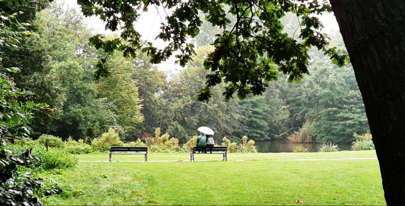 Sitting in the park