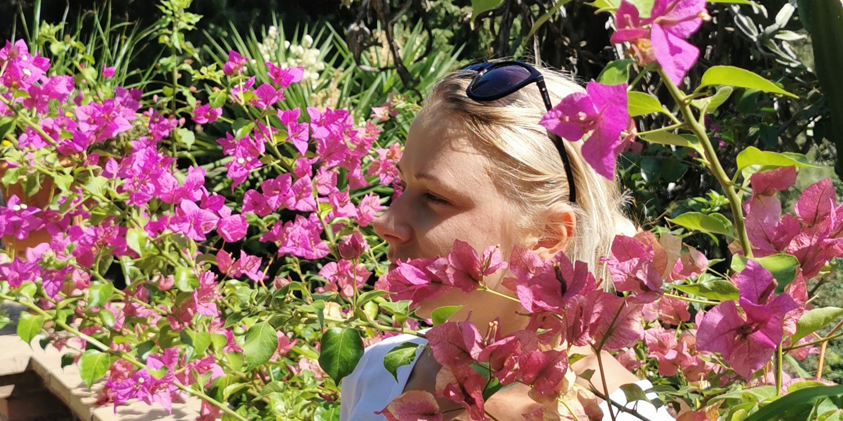 Face in the Flowers