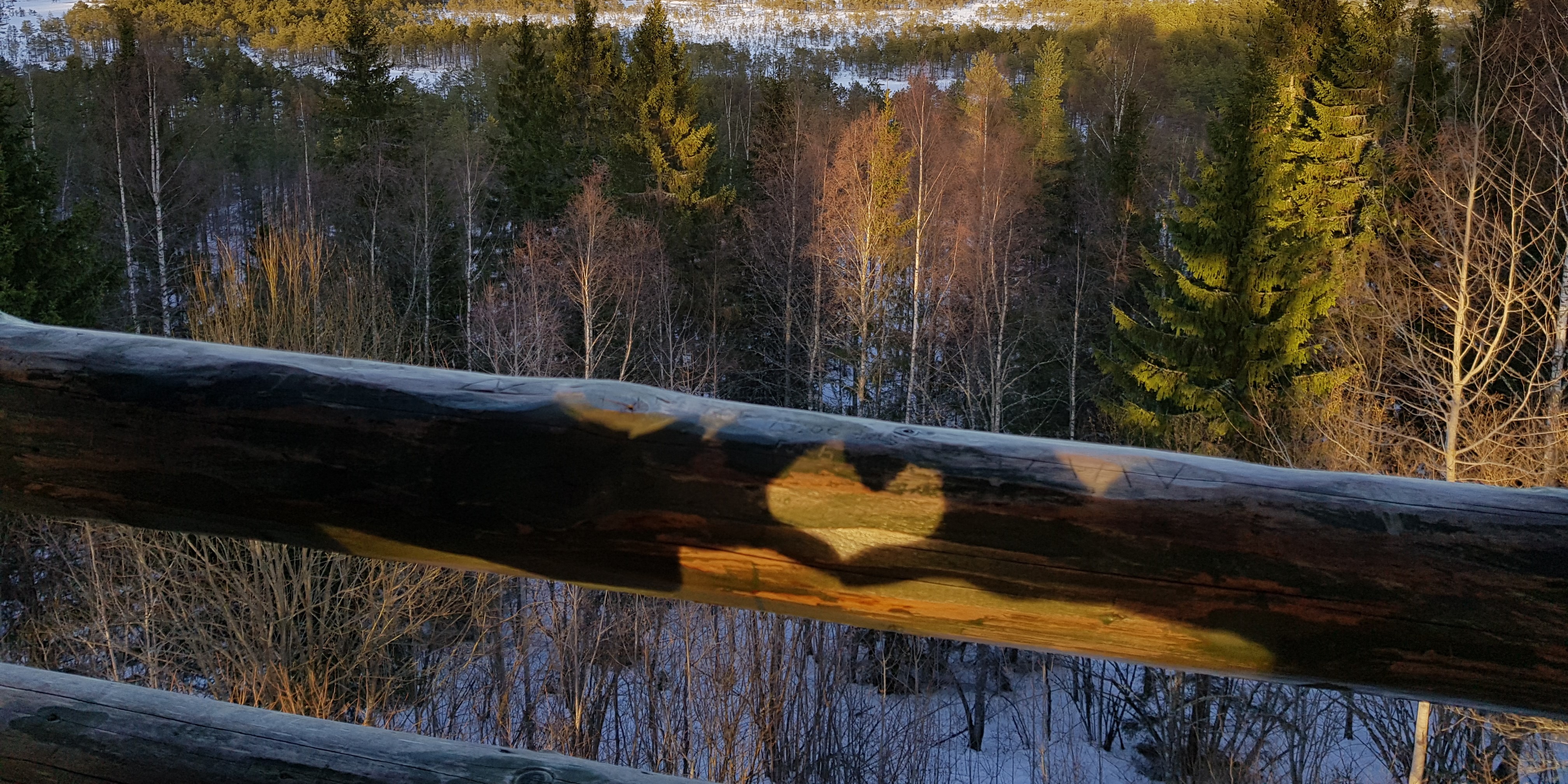 Shadow of hands forming a heart